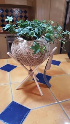 a potted plant sitting on top of a wooden chair next to a tile floor