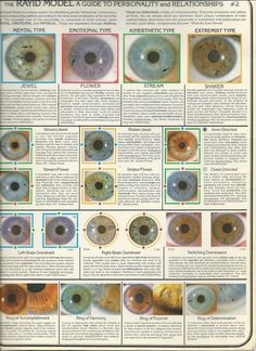 Iridology Chart, Health Chart, Eye Chart, Seasonal Color Analysis, Naturopathy, Alternative Health, Color Analysis, Irises