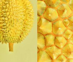 a yellow fruit is shown next to an image of a pineapple