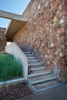 an image of a cat sitting on the steps in front of a stone wall and grass