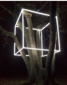 an illuminated structure in the middle of a tree at night with no leaves on it