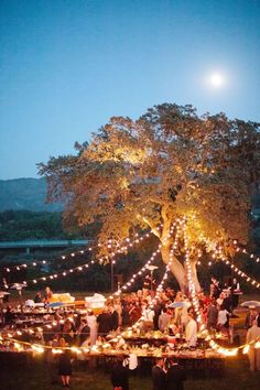 a large group of people gathered around a tree with lights on it at night time