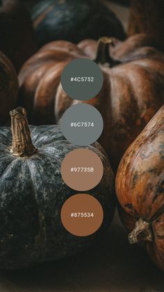 Charcoal dusted earth tones make for a practical take on autumn hues. Try it in the home office, library, living room, or loft / condo / bachelor apartment. #colorpalette #colourpalette #autumn #fall #brown #leather #grey #masculine Fall Earth Tone Color Palette, Fall Paint Colors Living Room, Dark Earth Tones Colour Palettes, Earthy Home Living Room, Color Palette Academia, Dark Grey Palette, Brown Neutral Color Palette, Earthy Color Palette Branding, Cozy Fall Color Palette