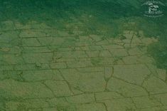 an aerial view of green grass and rocks