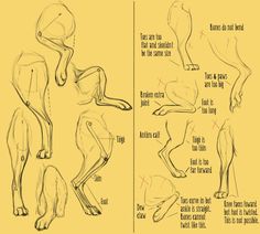 an image of how to draw a dog step by step drawing instructions for beginners