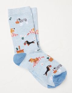 One Pack Picnic Dogs Socks Space Dog, Chill Fits, Dog Socks, Stocking Tights