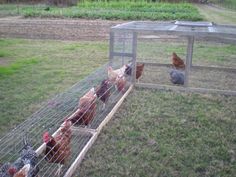 several chickens in a chicken coop on the grass