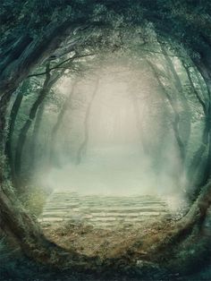 Mystical Forest Path Photography Backdrop - Mystical forest path photography backdrop with fog-covered stone pathway and natural tree arch Background For Photoshoot, Path Photography, Fairy Background, Fairy Woodland, Enchanted Woodland, Themed Photography, Printed Photo, Forest Background, Storytelling Photography