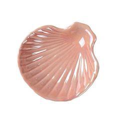 a pink shell shaped dish on a white background