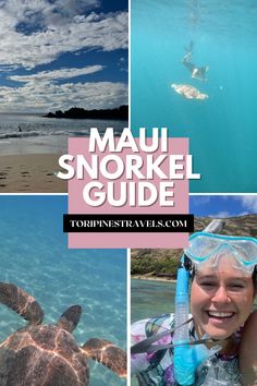 a woman snorkeling and swimming in the ocean next to a sea turtle