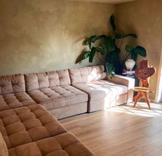 a living room filled with furniture and a potted plant