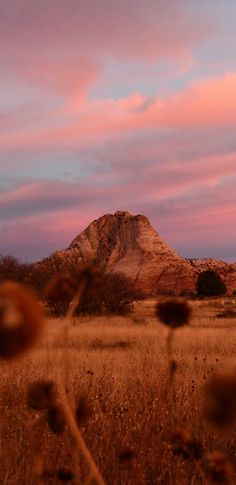 the sun is setting behind a mountain with wildflowers in foreground and pink clouds