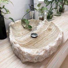 a stone sink sitting on top of a wooden counter next to plants and vases