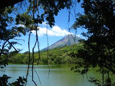 a lake surrounded by lush green trees with a mountain in the backgrouund