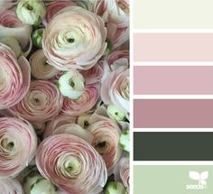 pink and green color scheme with flowers