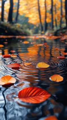 autumn leaves floating on the water with trees in the background