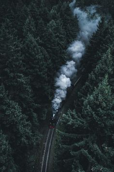 a train traveling through a forest filled with lots of tall trees on top of it