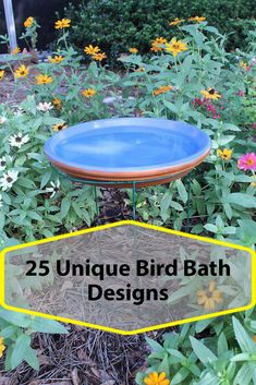 a bird bath sitting in the middle of some flowers and plants with text overlay that reads 25 unique bird bath designs