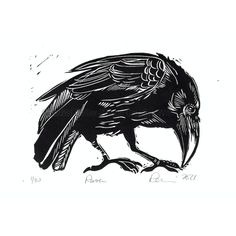 a black and white drawing of a crow