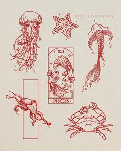 some red ink drawings on white paper with sea animals and jellyfishs in them