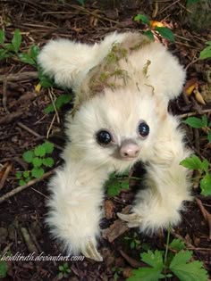 a small white teddy bear laying on the ground next to green plants and leaves with eyes wide open