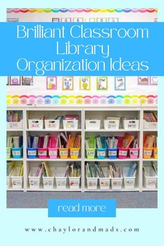 the brilliant classroom library organization ideas