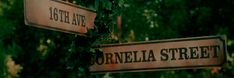 two brown street signs sitting on top of a green tree filled forest next to each other