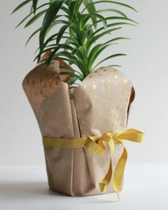 a potted plant is wrapped in brown paper and tied with yellow ribbon around it