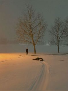 a person standing in the snow next to a tree and a dog laying on the ground