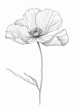 a black and white drawing of a flower