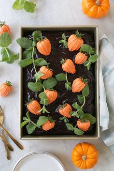 chocolate cake decorated with pumpkins and green leaves