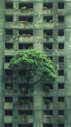 a tree growing out of the side of an old building with concrete blocks on it