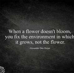 a quote on flowers that says when a flower doesn't bloom, you fix the environment in which it grows, not the flower