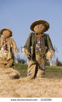 two scarecrows standing in the middle of a field