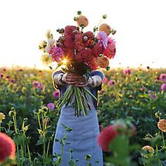 a woman holding a bouquet of flowers in a field