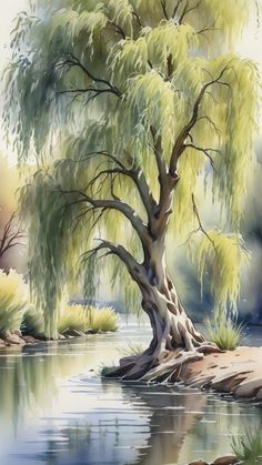 a painting of a tree by the water