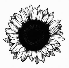 a black and white drawing of a sunflower