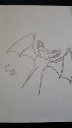 a drawing of a bat with its wings spread