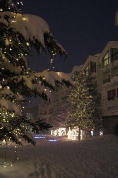 christmas lights are on the trees in front of an apartment building and snow covered ground