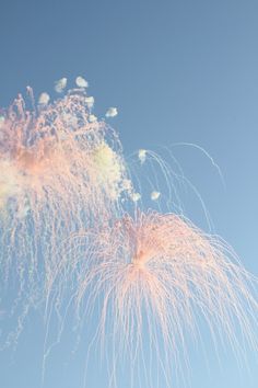 fireworks are lit up in the sky on a clear day