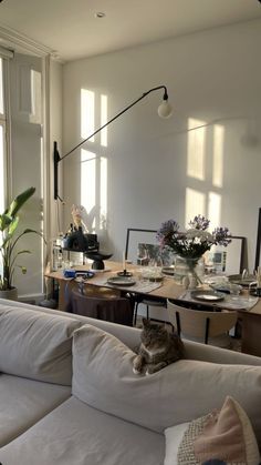 a living room filled with furniture and a cat laying on top of the couches