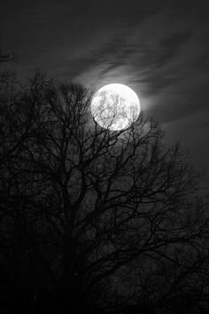 a full moon is seen through the clouds above some bare trees in black and white