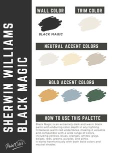 the different shades of black and white paint