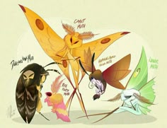 some very cute cartoon animals with different colors and patterns on them'wings, one is an owl, the other two are moths