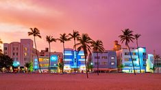 palm trees line the beach in front of brightly lit buildings at dusk with pink and blue lights