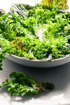 a bowl filled with lettuce sitting on top of a white table next to a leafy green plant