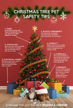 a christmas tree with safety tips for dogs and cats in front of it on the floor