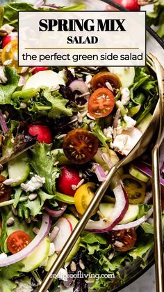 a salad with tomatoes, lettuce and other vegetables