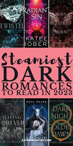 the cover for steamfest dark romances to read in 2013, with text overlayed