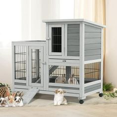 three rabbits in their cages on the floor